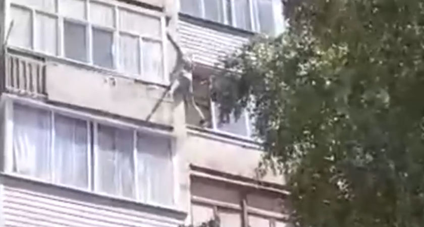 Очевидцы засняли на видео упавшего из окна на улице Интернациональной 40-летнего мужчину