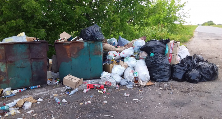 Жители Коростова пожаловались на мусор на дороге от Шумаши к Заокскому