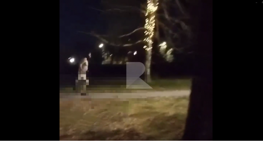 В Комсомольском парке Рязани голый мужчина с пакетом на голове бегал за людьми