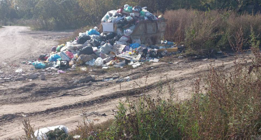 В Соколовке отреагировали на жалобы жителей на кучи мусора