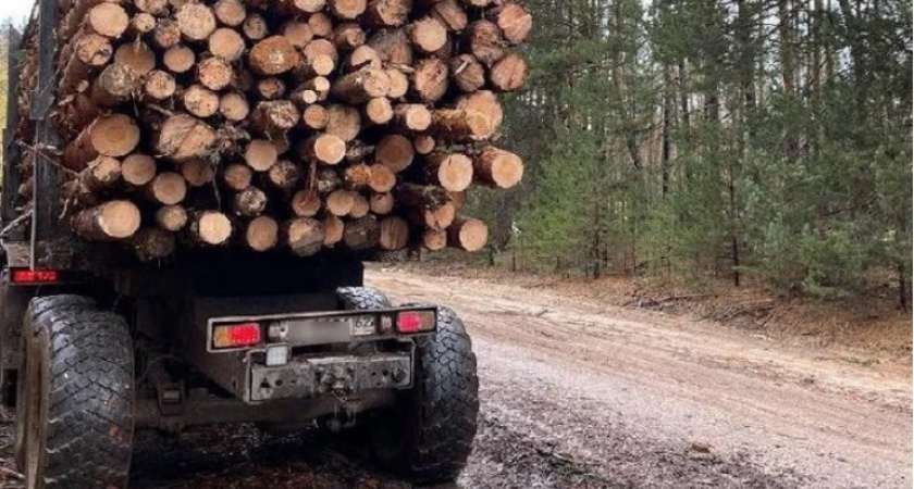 Под Рязанью ФСБ остановило предпринимателя, вывозившего лес без документов