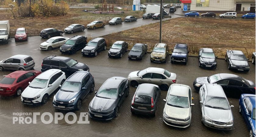В Рязанской области водитель Toyota провел под стражей три дня за тонировку