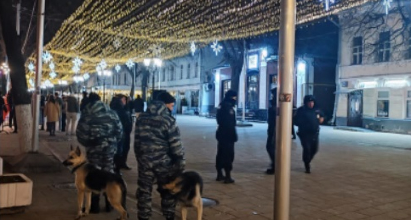 В Рязани в ночь на 18 ноября 42 человека оказались в полицейских участках