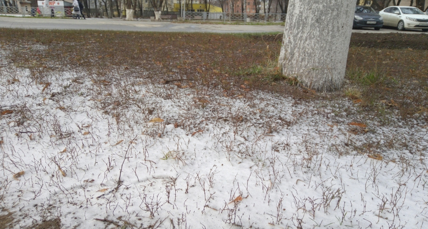 8 мая в Рязанской области ожидается мокрый снег и до -2