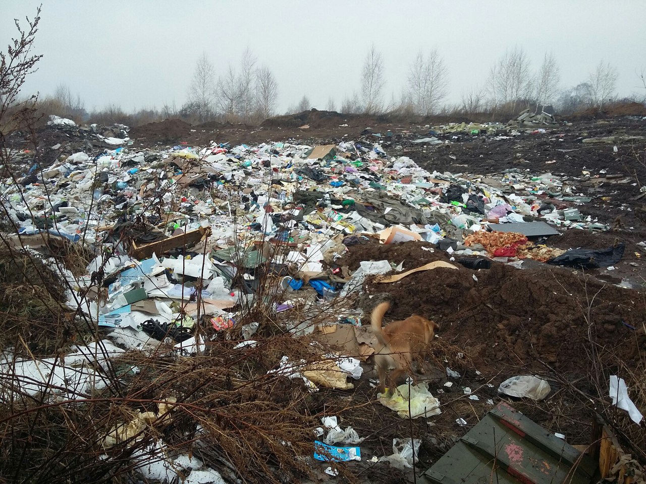В Октябрьском городке продолжает расти незаконная свалка мусора