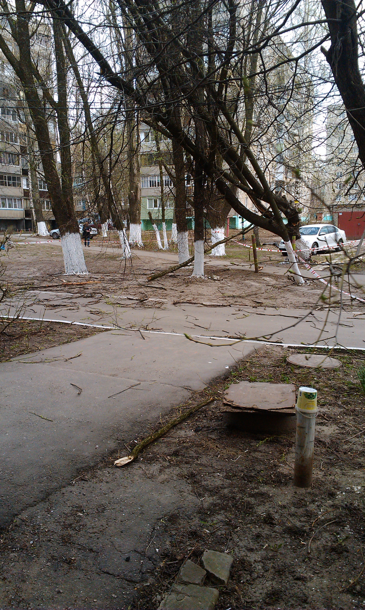 В Рязани не нашлось организации, готовой  убрать сломанную ветку, повисшую на проводах