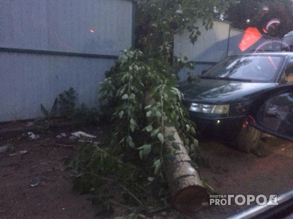 Ураган в Рязани. В районе ул.Октябрьский городок дерево упало на машину