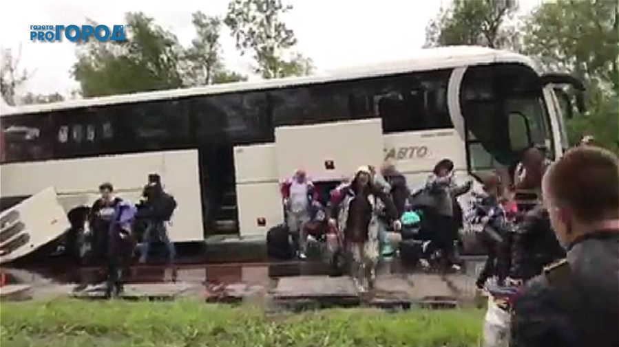 Автобус Рязань-Домодедово. Водитель затормозил, чтобы пропустить котенка