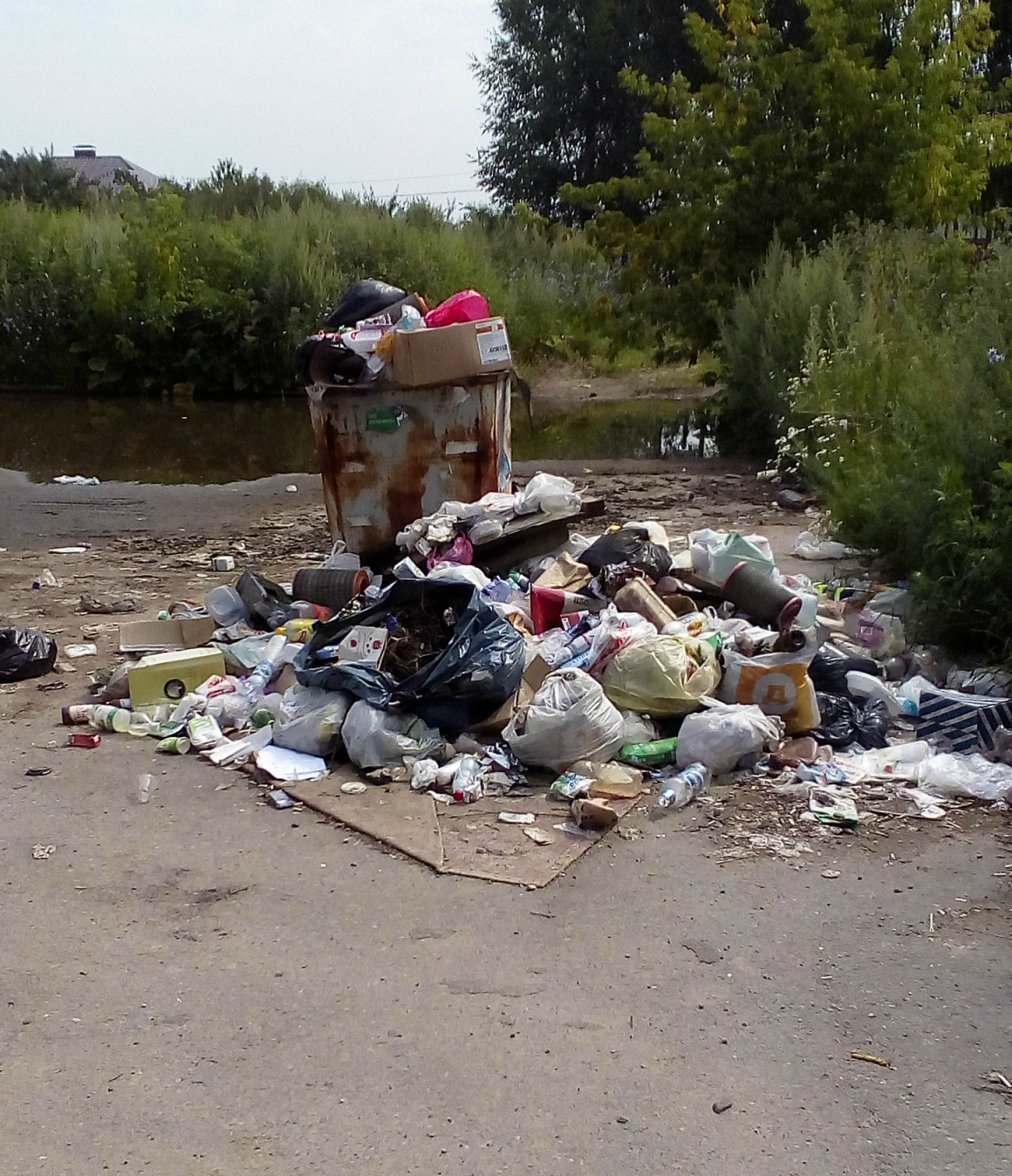 Новая свалка на Баженова - "Маршрутчики оставляют после себя много мусора"