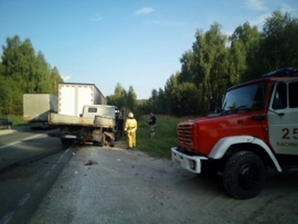 В Рязанской области столкнулись два грузовика, в ДТП пострадали люди