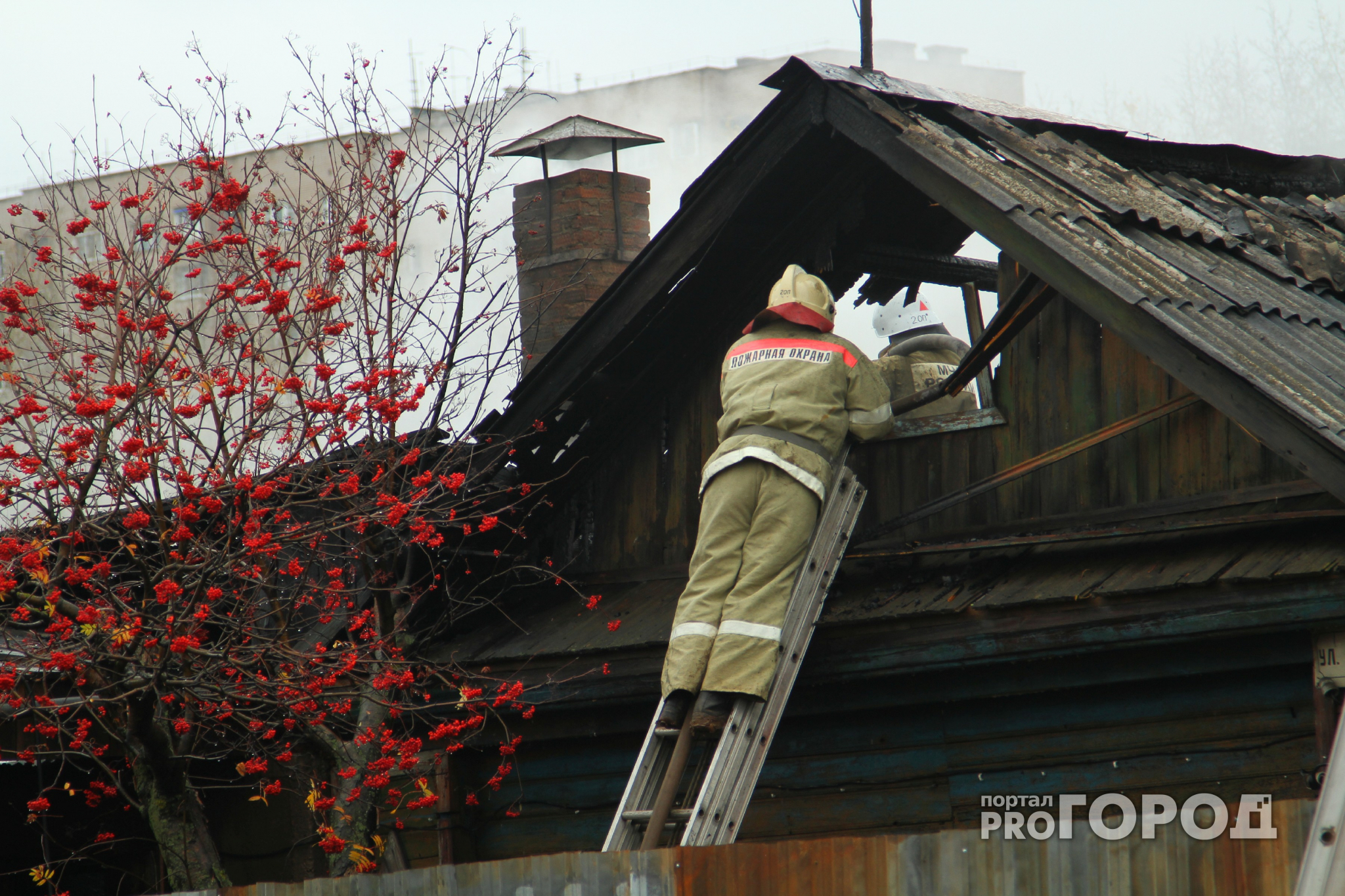 Пожар в Сасовском районе - сгорел дачный дом