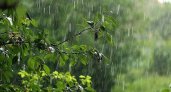 29 июля в Рязанской области ожидается дождь, гроза и +27