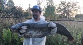 Рязанский рыбак 40 минут боролся с сомом весом 25,5 кг