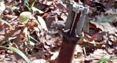 В Скопинском районе Рязанской области в лесу грибники обнаружили снаряд