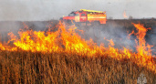 В Рязанской области с начала 2023 года составили 188 протоколов за сжигание травы и мусора