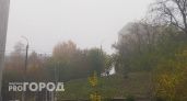 В Рязани МЧС объявило метеопредупреждение из-за тумана