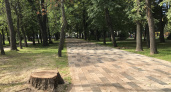 На первый этап благоустройства Нижнего городского парка Рязани выделили 202,6 млн рублей