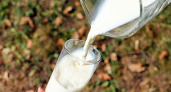 Роспотребнадзор предупредил жителей Рязанской области о молочном фальсификате