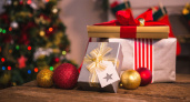 Правительство Рязанской области может заменить детские новогодние подарки на сертификаты