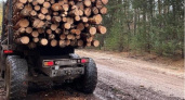 Под Рязанью ФСБ остановило предпринимателя, вывозившего лес без документов