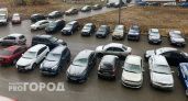В Рязанской области водитель Toyota провел под стражей три дня за тонировку