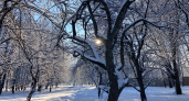 1 февраля в Рязанской области ожидается дождь и до +2