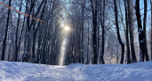 9 марта в Рязанской области ожидается небольшой снег и до -10