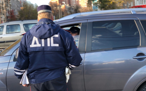 Росгвардейцы поймали пьяного водителя в Рыбном. Видео задержания