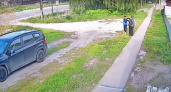 В Дядькове под Рязанью дети стреляли по домам и автомобилям из пневматики