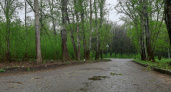 17 мая в Рязанской области ожидается дождь, гроза и до +20