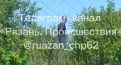 Жители Рязани обнаружили онаниста около железной дороги