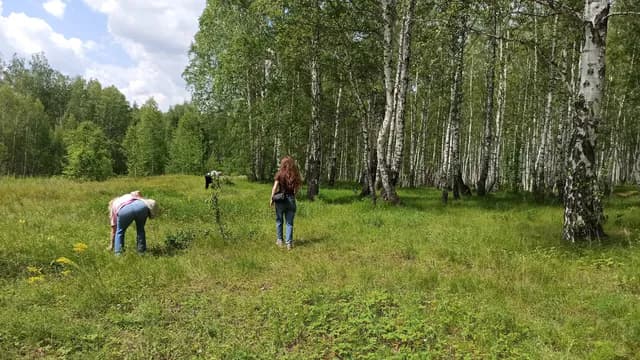 Лисички, подберезовики и маслята: где в Рязани и области самые грибные поляны — проверенные адреса