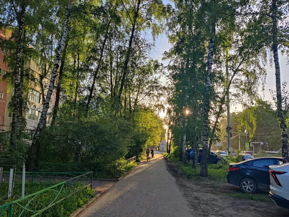 Зеленые зоны Лесопарка Рязани отдают под развлечения и торговлю