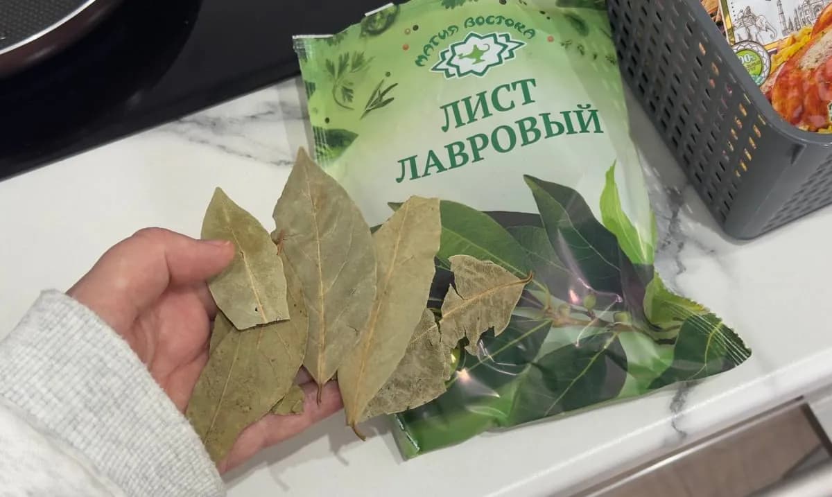 Кладу сухую лаврушку в банку с мукой и рисом: незаменимый лайфхак, который решит проблему кухонной мошки