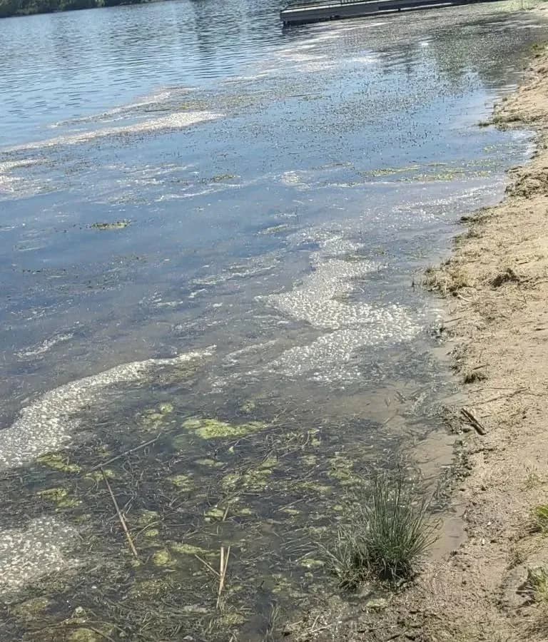 «Вода как болото»: рязанцы пожаловались на состояние пляжа в Новомичуринске