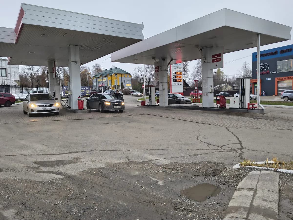 Рязанцы требуют наказать водителя, который сбил собаку прямо на заправке