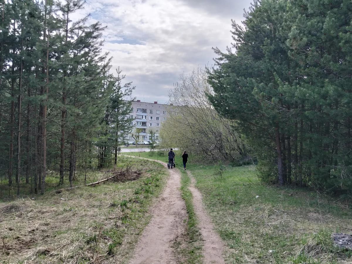 В лесах Рязанской области усилили контроль из-за пожаров