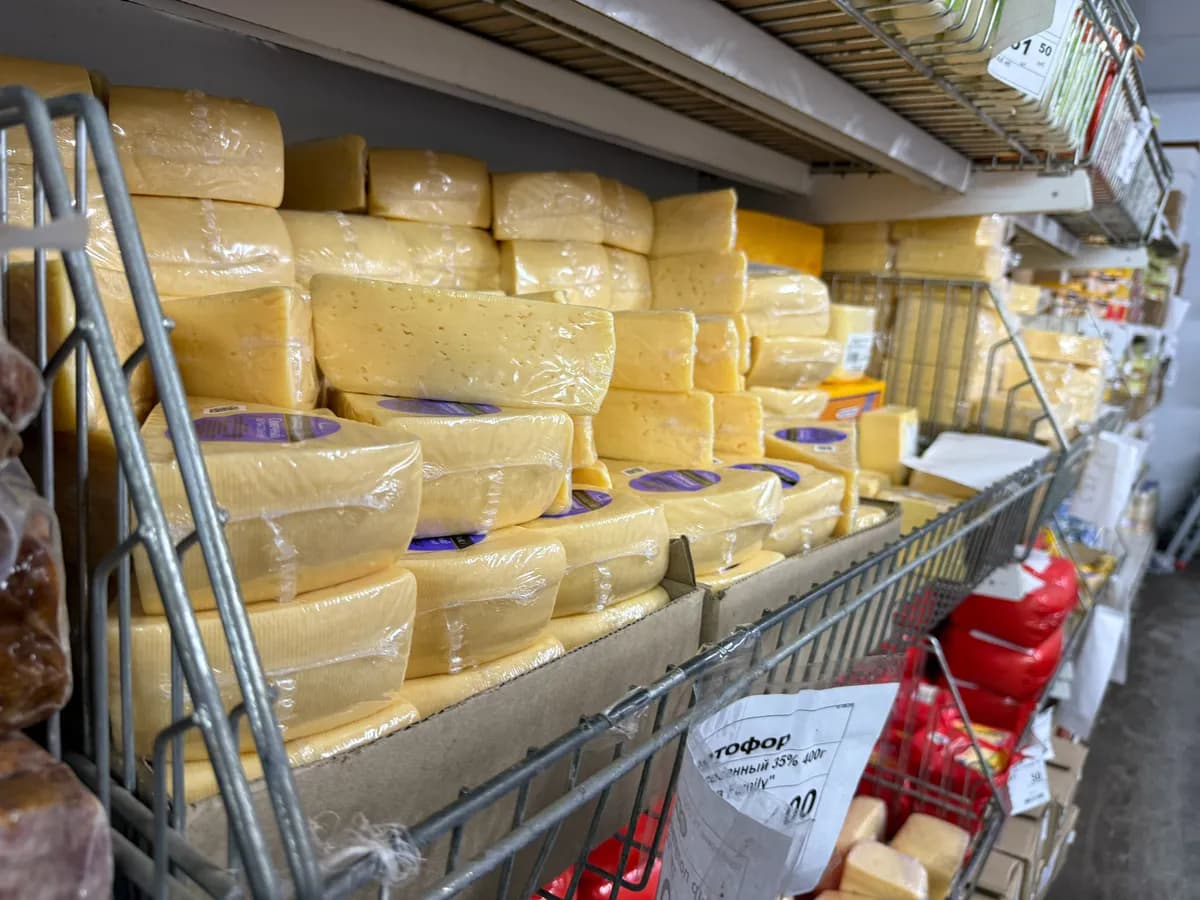 От сыра - одно название: В Роскачестве назвали худшие марки сыров - не берите их на новогодние нарезки