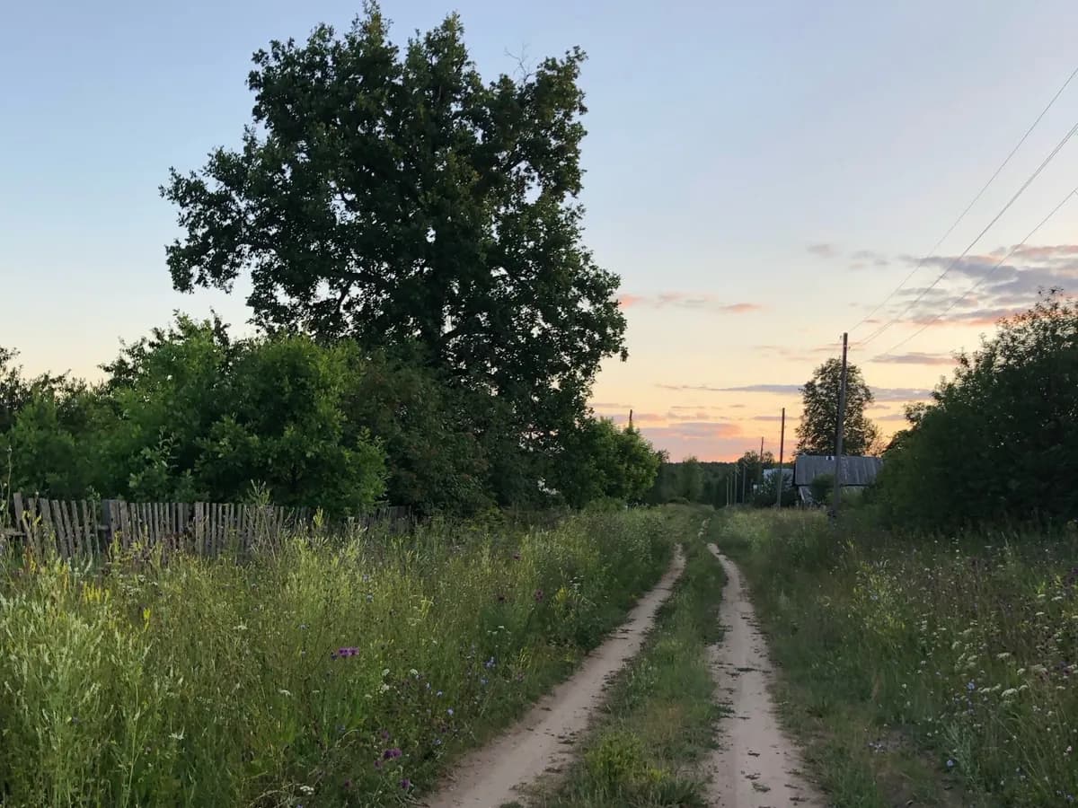 Сорняки на дорожках больше не пугают: полила швы 1 хитрым домашним составом - трава засохла на корню и не растет