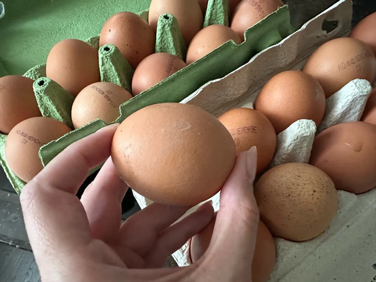 Конвейерные пустышки: в Роскачестве назвали бренды яиц из черного списка - не берите на завтрак