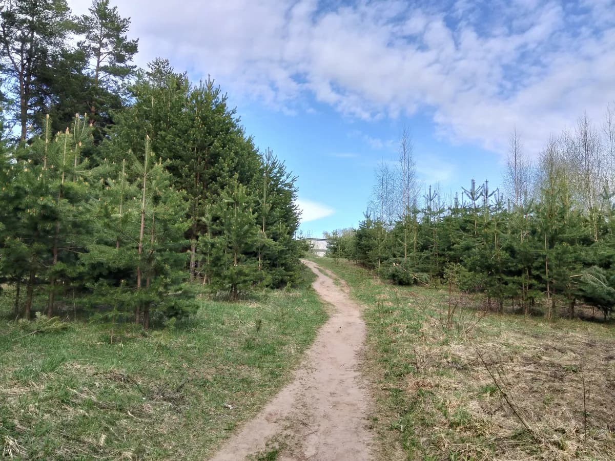 В Рязанской области заметили змею, которую легко перепутать с гадюкой