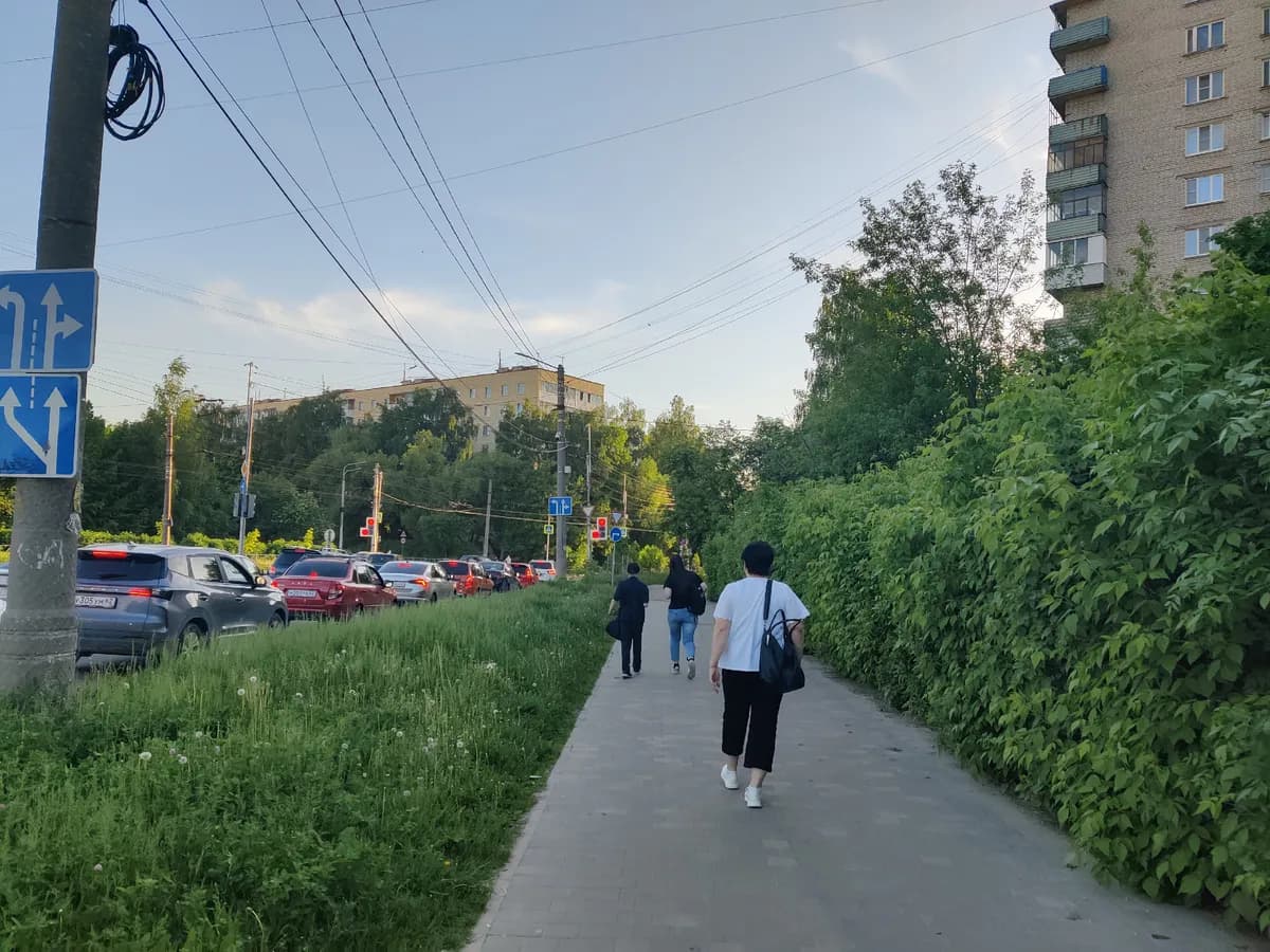 Рязанская область — малиновое сердце России: куда ещё ехать за ягодами этим летом