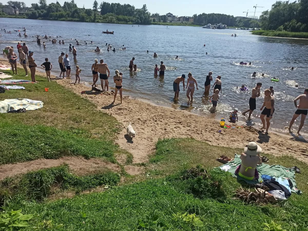 44 пляжа, 5 из них в Рязани: полный список мест для купания и правила, которые спасут жизнь