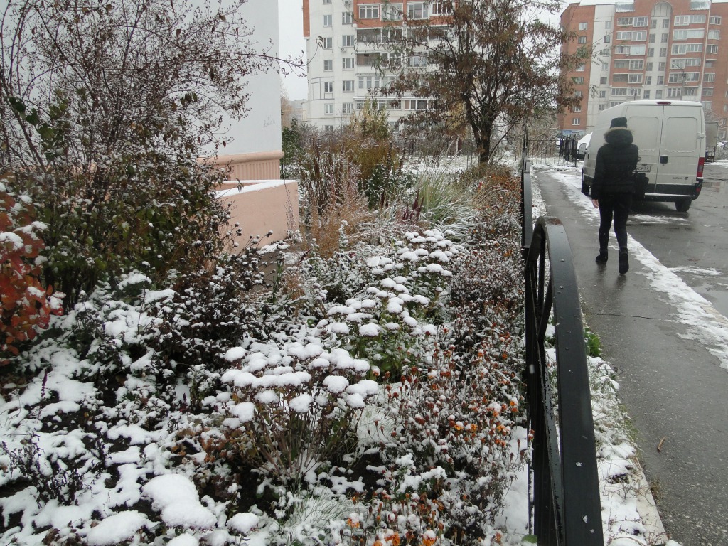 Заморозки в подмосковье. Первые заморозки в Одинцово. Рязань погода зимой. Свободный погода зимой. Зима 2011 погода.