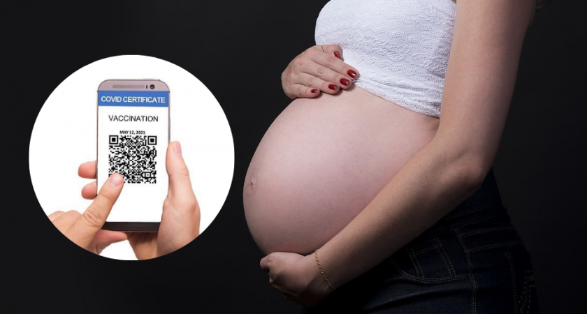 Два способа: как беременным рязанкам получить QR-код 
