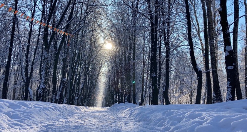 Ночь в Рязани будет снежной