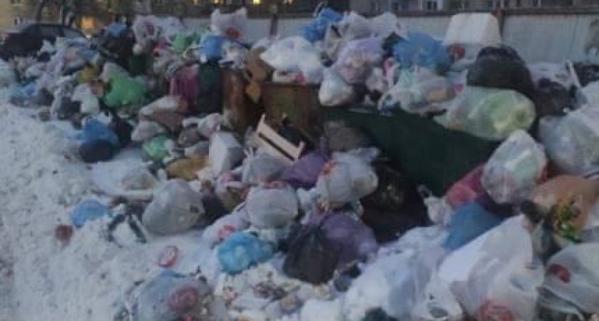 Не вывозят три недели: рязанцы жалуются на свалку в посёлке Строитель