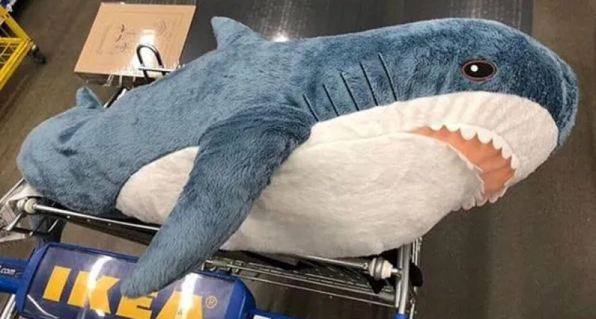 Рязанцам продают акулу из IKEA за 200 тыс. рублей