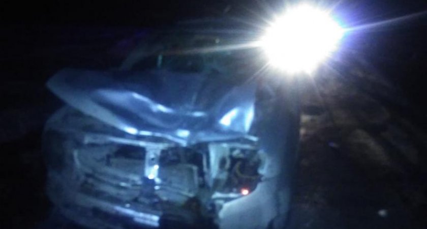 В Пронском районе Renault Duster насмерть сшиб 60-летнюю женщину