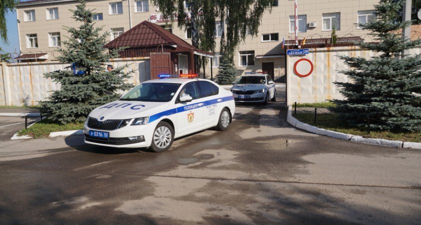 Рязанские полицейские разыскивают мужчину, сбившего девушку на переходе